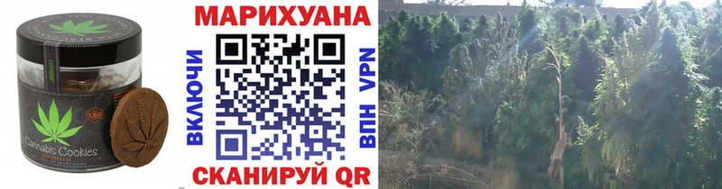 Еда ТГК конопля  ОМГ ОМГ   Фёдоровский  купить наркотики цена 