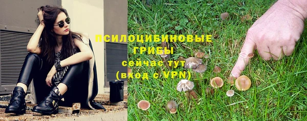 прущая мука Белокуриха