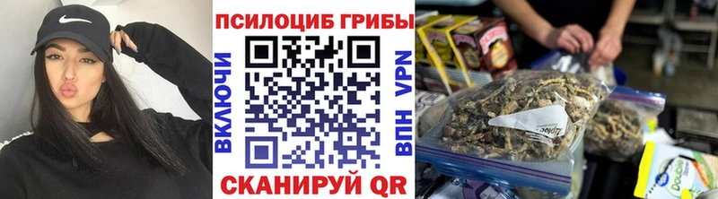 Галлюциногенные грибы Psilocybe  закладка  Фёдоровский 