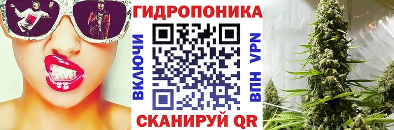 как найти закладки  Фёдоровский  Конопля семена 